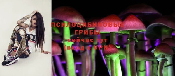 трава Абинск