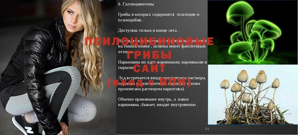 СК Абаза