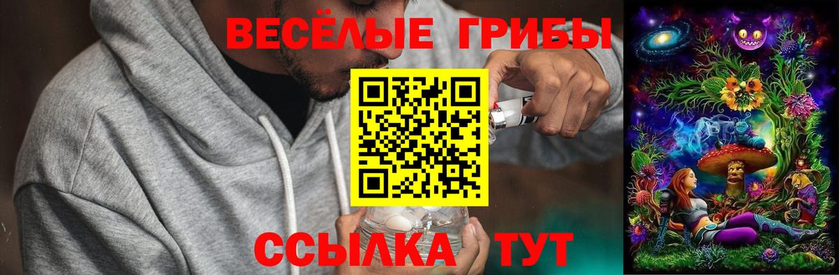 Галлюциногенные грибы Magic Shrooms  Вход с VPN  Торжок  Галлюциногенные грибы Psilocybine cubensis 