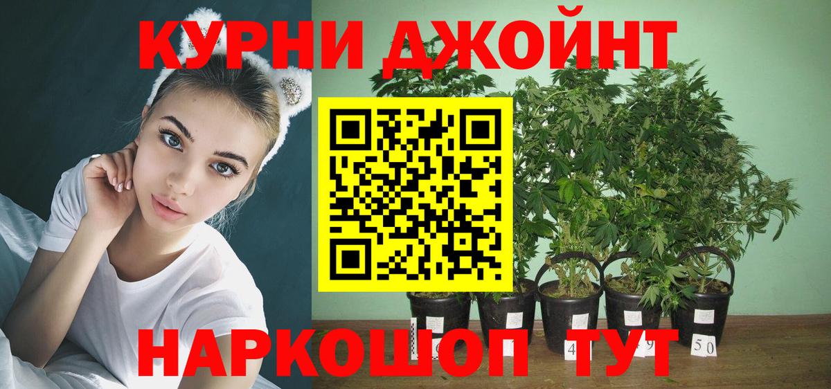 Бошки Шишки Bruce Banner Торжок